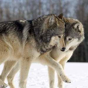 Meet your Posher, Kelli